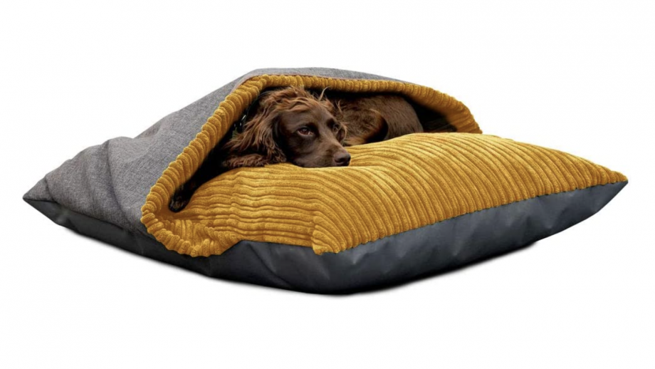 Best calming dog beds to soothe anxiety and provide a safe space