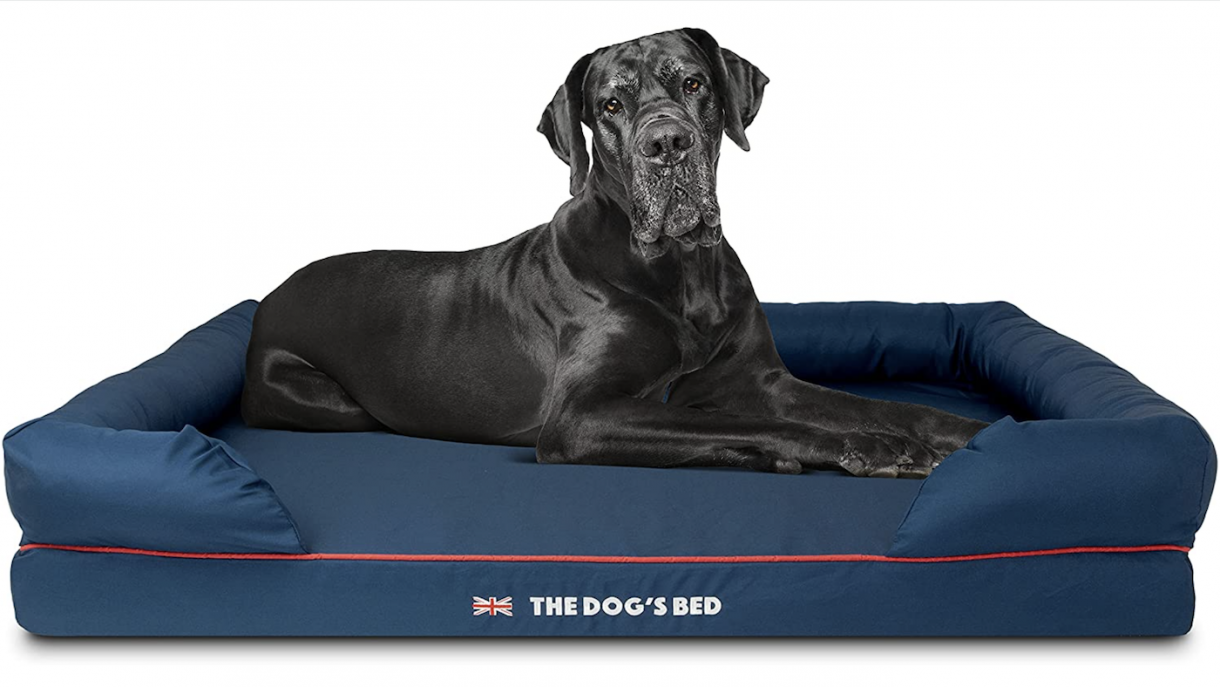 Best large dog beds to give sleeping space for bigger canine breeds