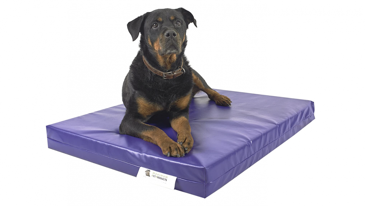 Best large dog beds to give sleeping space for bigger canine breeds
