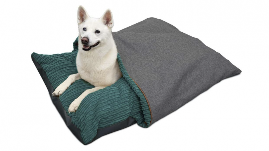 Best large dog beds to give sleeping space for bigger canine breeds