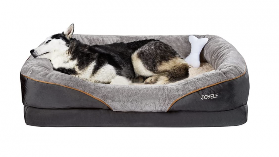 Best large dog beds to give sleeping space for bigger canine breeds