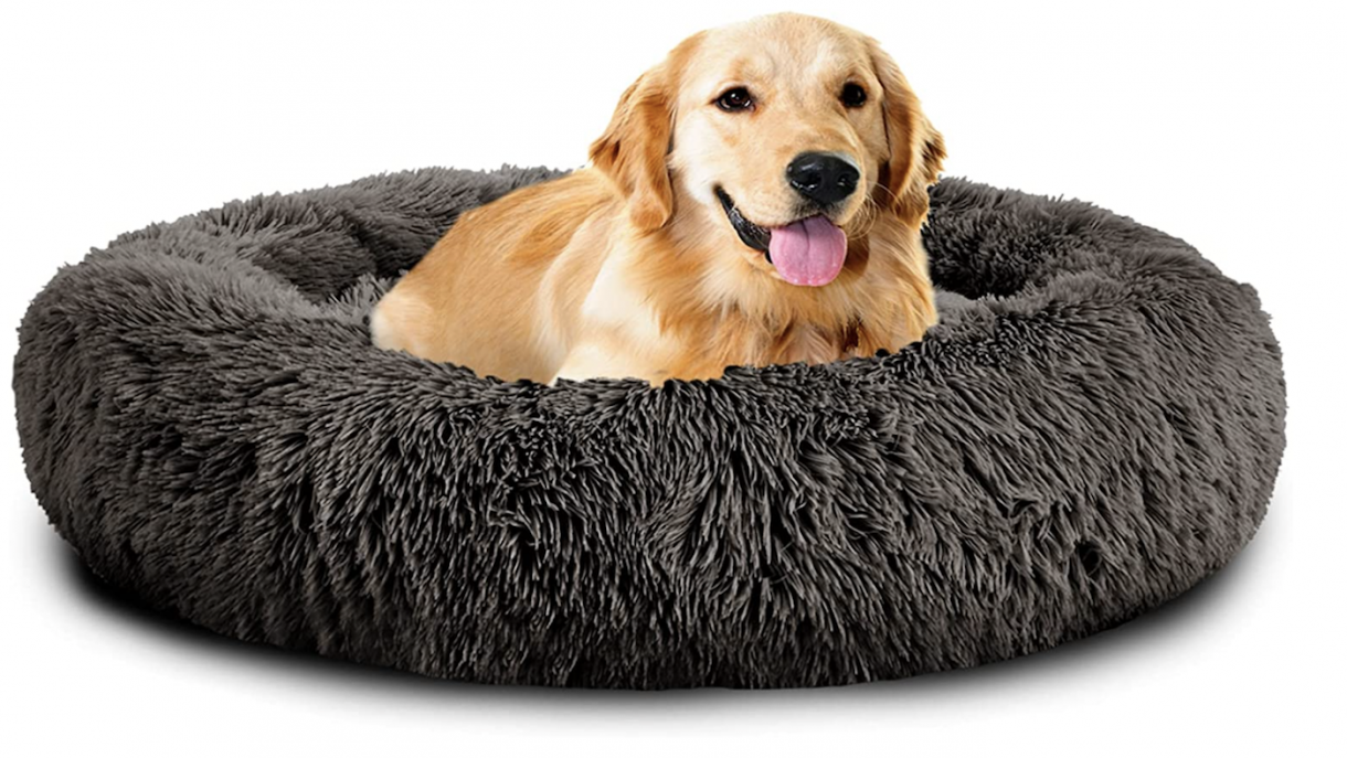 Best large dog beds to give sleeping space for bigger canine breeds