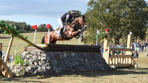 Tim Price demonstrating successful cross-country riding at the 2022 World Championships