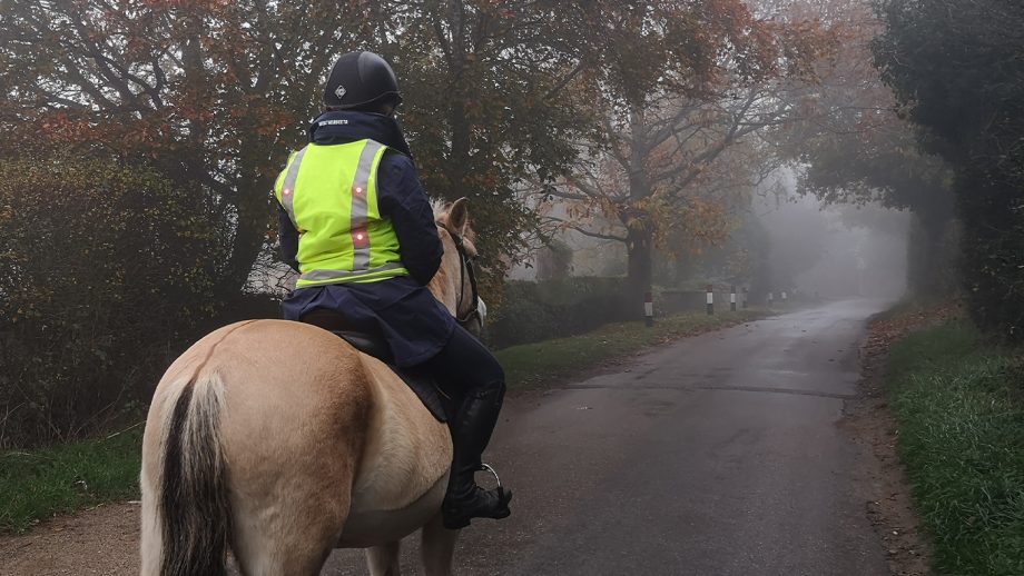 Vizirider Hi Vis Vest from rear