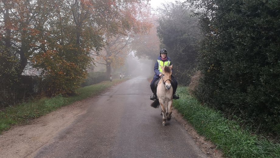 Vizirider Hi Vis Vest from front