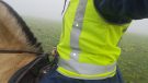 Vizirider Hi Vis Vest