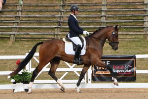 Dannie Morgan riding four-year-old Fever Tree