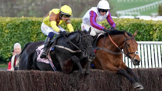 Galopin Des Champs wins the Cheltenham Gold Cup in 2023 and is favourite to retain his title in 2024