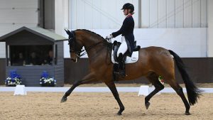 Annabella Pidgley riding Vamos Amigos at Addington CDI