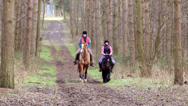 Two riders enjoying a hack in woods
