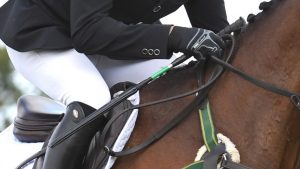 The rules governing whips used in eventing are changing.