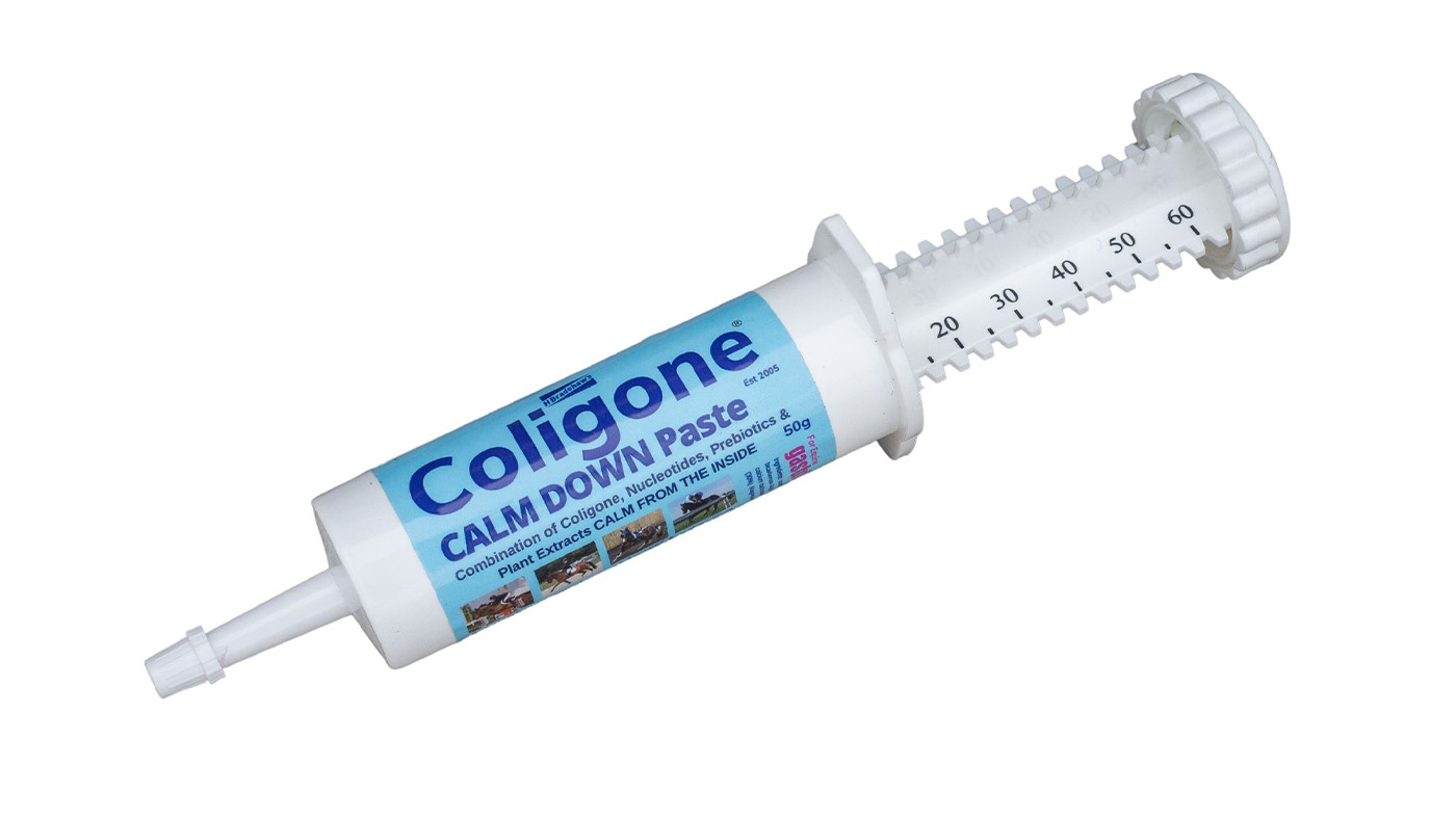 Coligone Calm Down Paste instant calmer for horses