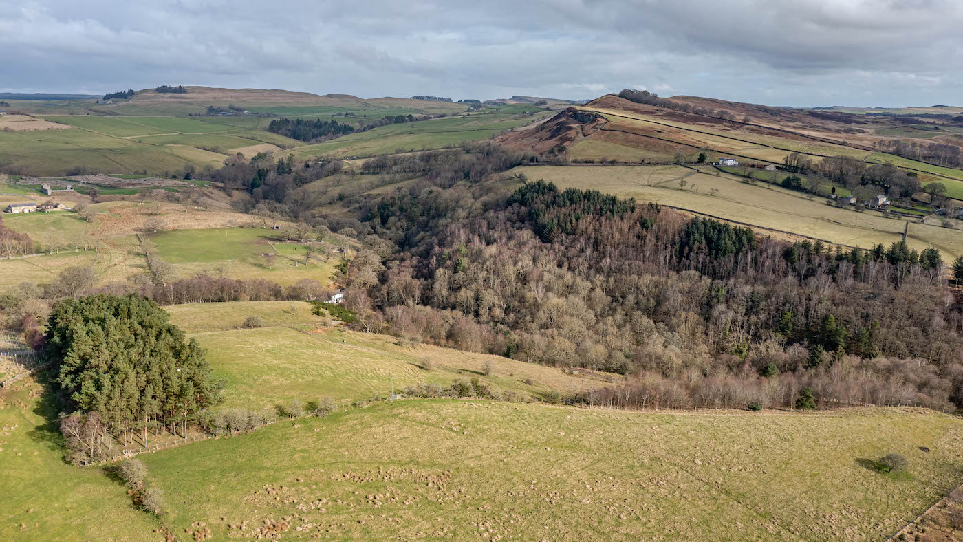 Views over the Tyne Valley