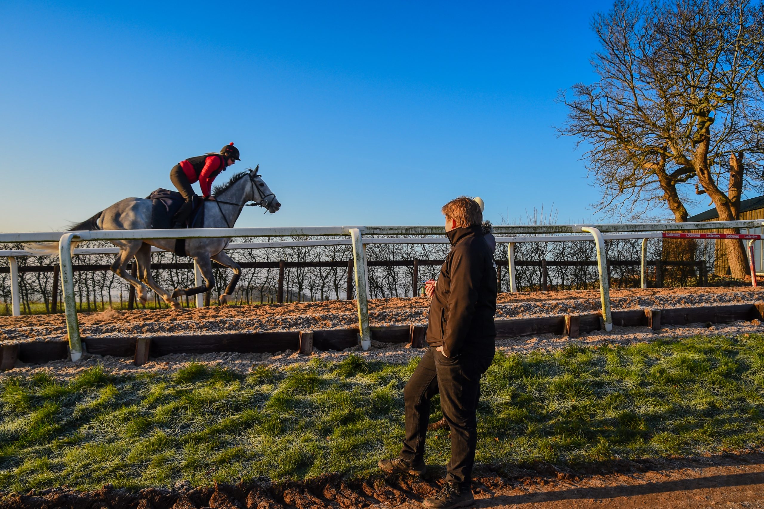 Cheltenham Festival Preview: behind the scenes with racehorse trainer Dan Skelton as he watches his string on the gallops