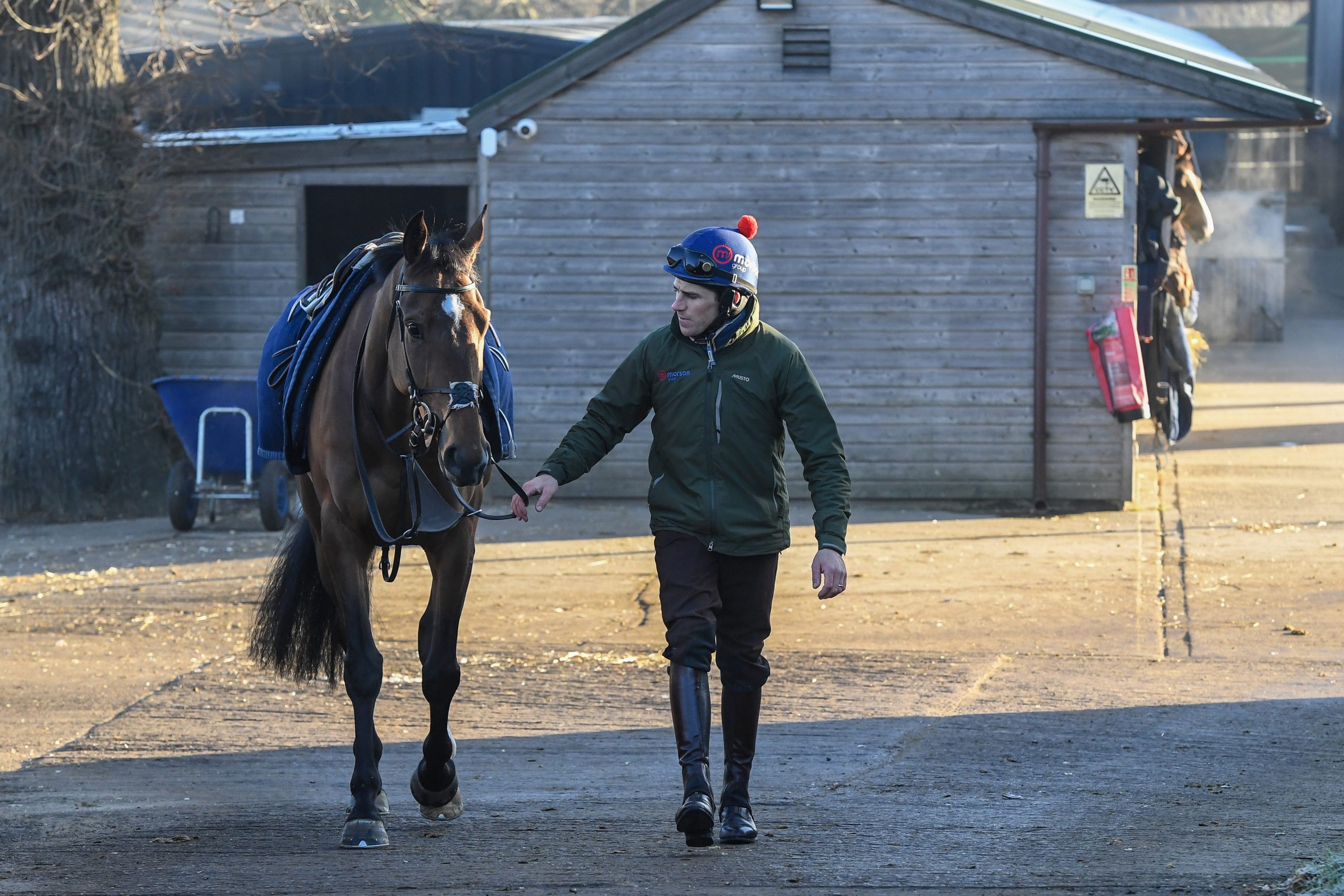 Cheltenham Festival Preview: behind the scenes with racehorse trainer Dan Skelton