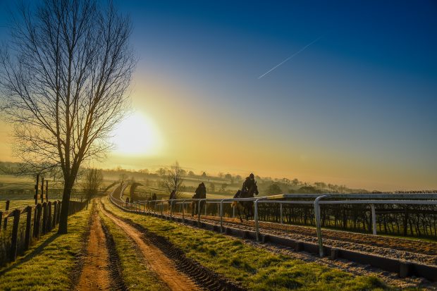 The gallops of Cheltenham Festival Preview: behind the scenes with racehorse trainer Dan Skelton