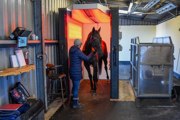 Equusir BEST-Box being used at Dan Skelton's racing yard in Warwickshirein