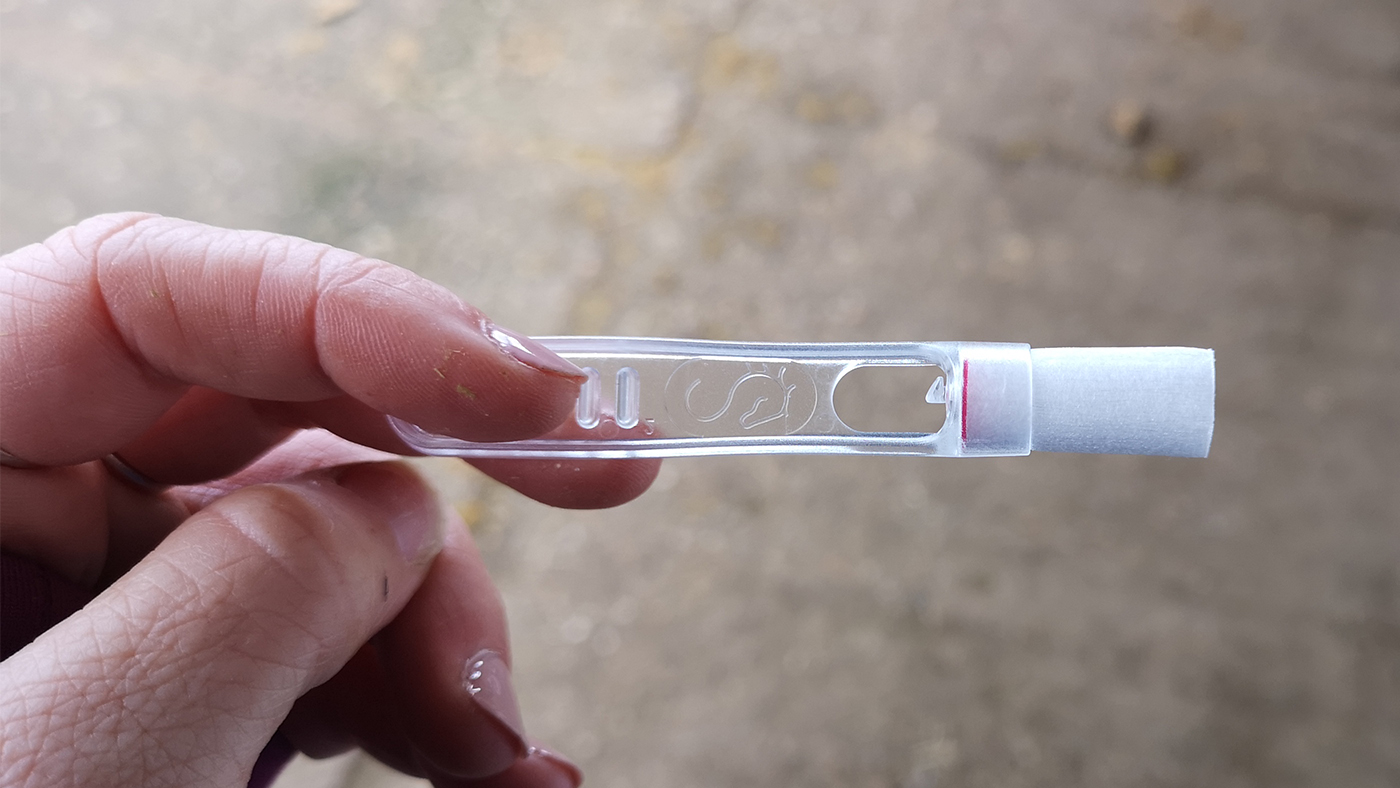 EquiSal Tapeworm Test clean swab