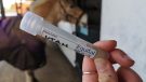 EquiSal Tapeworm Test swab in tube