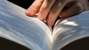 Hand turning the pages of a horse book