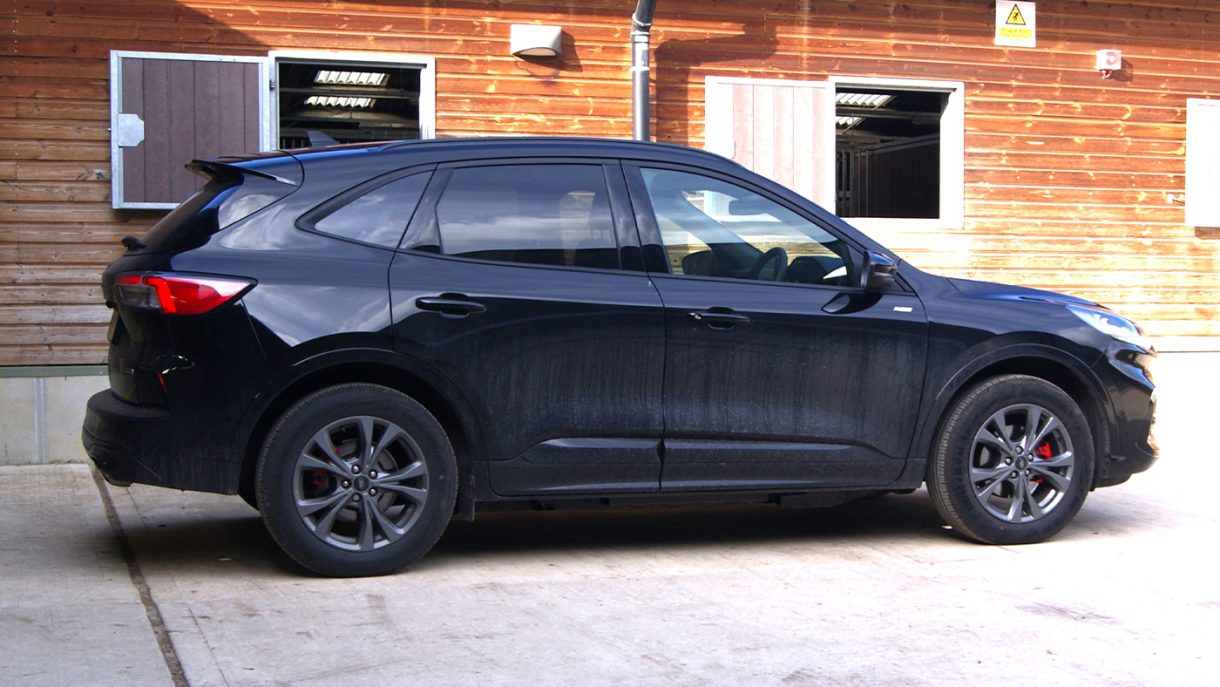 Ford Kuga for towing (2.0 EcoBlue AWD STLine) review Horse & Hound