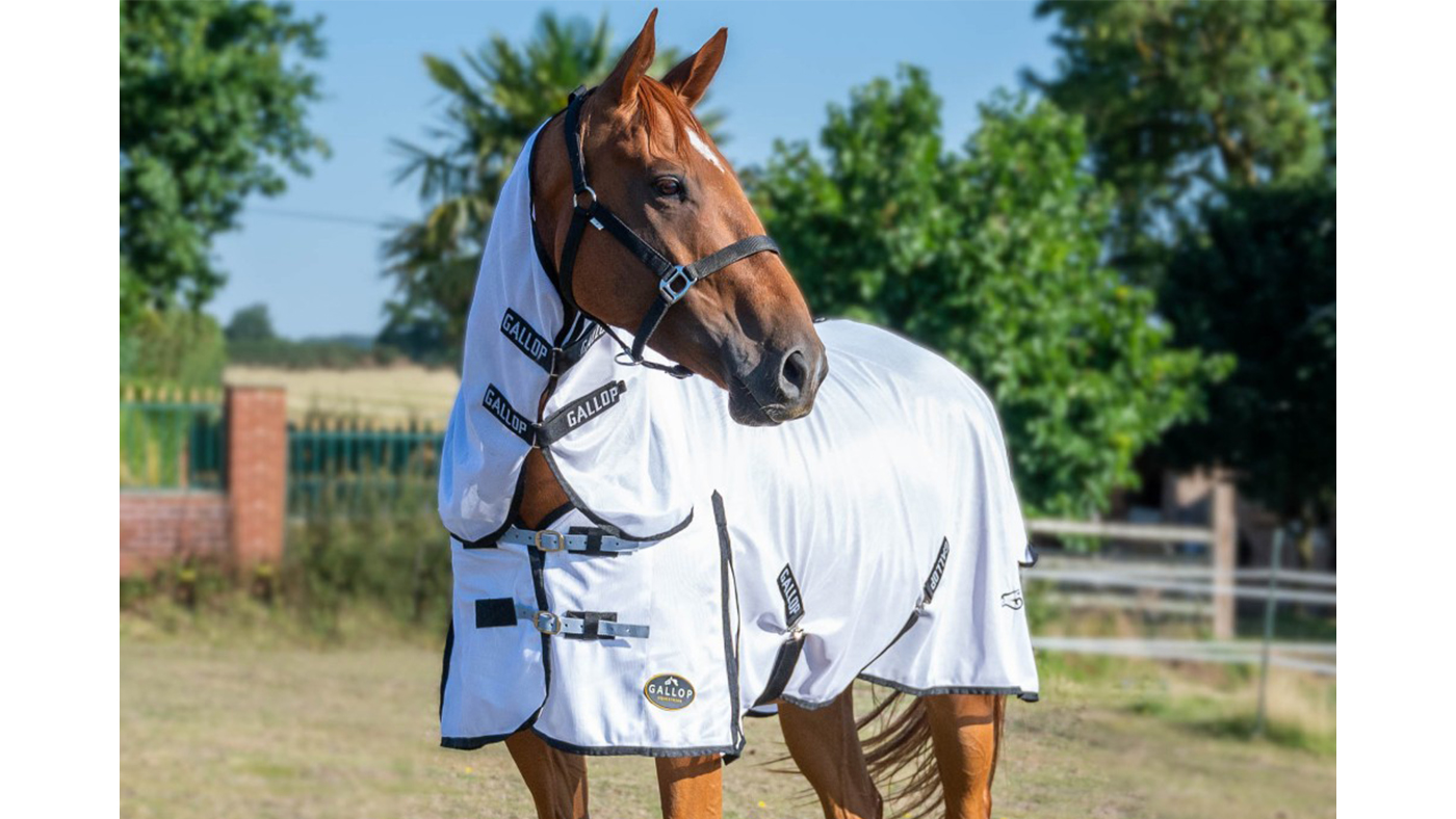 Gallop Classic Combo Fly Rug