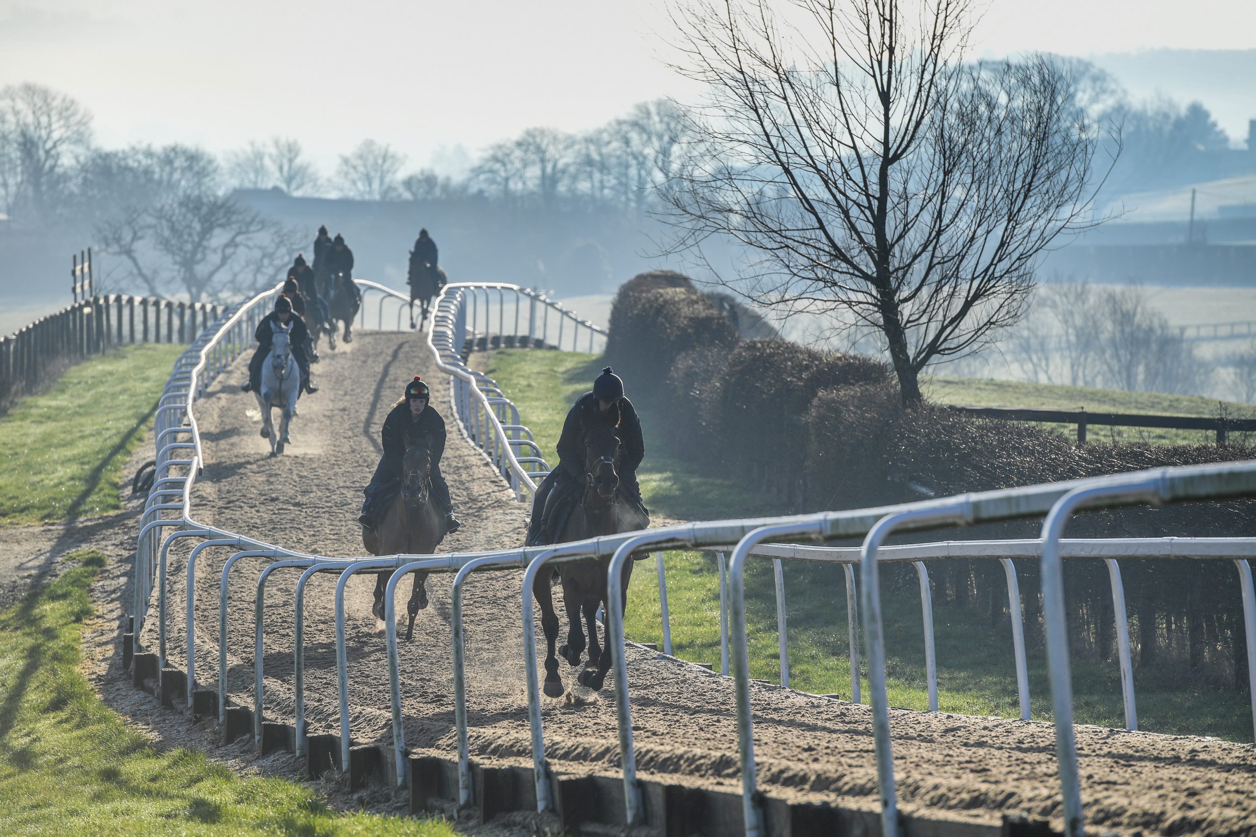 Cheltenham Festival Preview: behind the scenes with racehorse trainer Dan Skelton