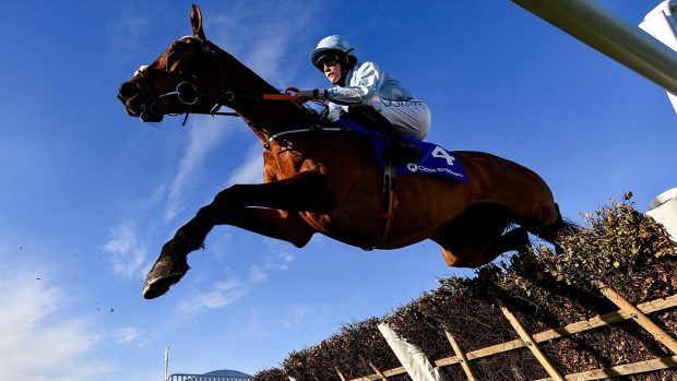 Honeysuckle's colours will be auction at Punchestown to raise money for the new Jack de Bromhead Equine Centre