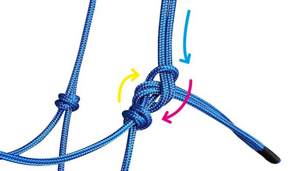 Best rope halters for better control and more precise aids | Horse & Hound