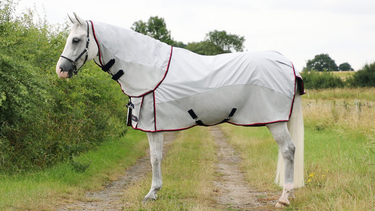 Best waterproof fly rugs for horses Horse & Hound