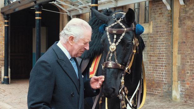 The King with his new horse, Noble