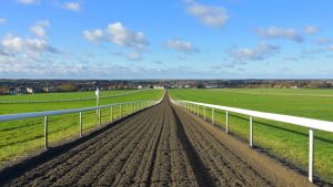 Newmarket heath gallops