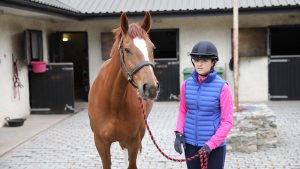 Pros and cons of owning a horse How to stop your horse being pushy: train the correct responses when leading your horse