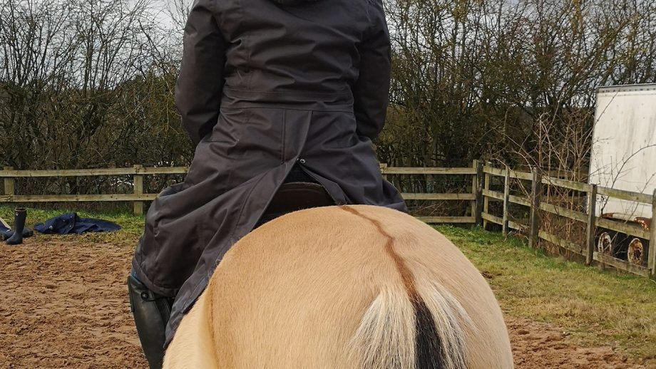 LeMieux Loire Waterproof Coat on horse from behind