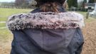 LeMieux Loire Waterproof Coat hood from behind