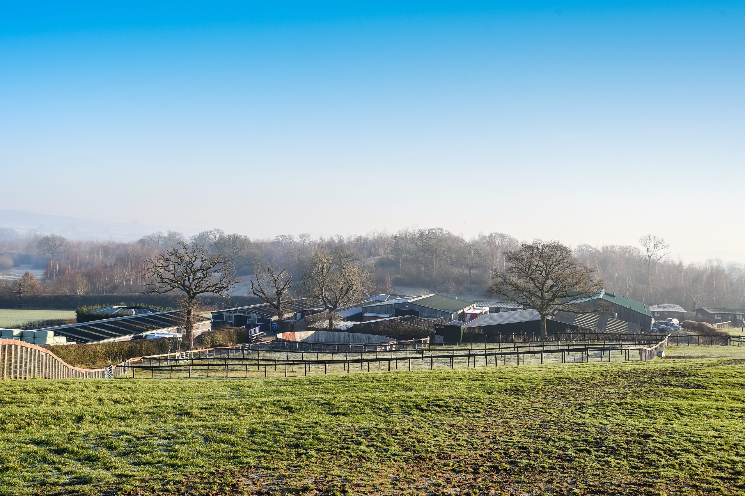 Cheltenham Festival Preview: behind the scenes with racehorse trainer Dan Skelton