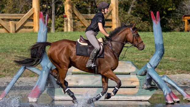 Rider going cross-country schooling in bitless bridle