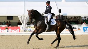 Ingrid Klimke rides Bluetooth in medium canter