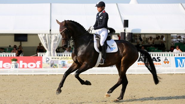 Ingrid Klimke rides Bluetooth in medium canter