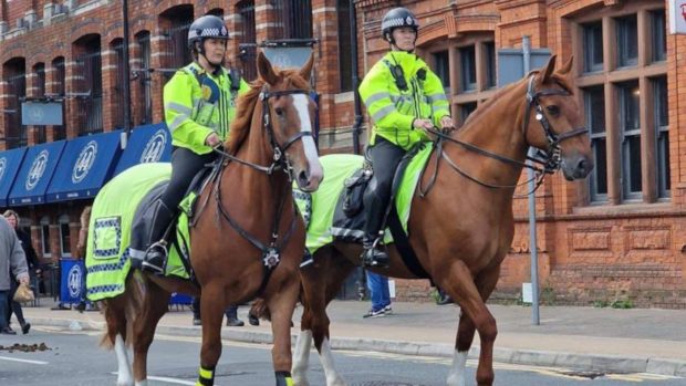Police horse Clover, has retired after being diagnosed with wobbler syndrome. Here he is pictured on patrol for South Wales Police