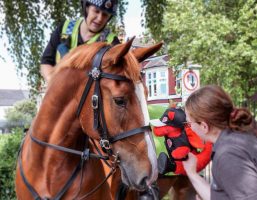 Police horse Clover, pictured, has been retired from South Wales Police aged seven after being diagnosed with wobbler syndrome