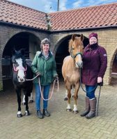 Pictured Sunfield Equestrian riding school founder Sandra Ward with two of the riding school's ponies