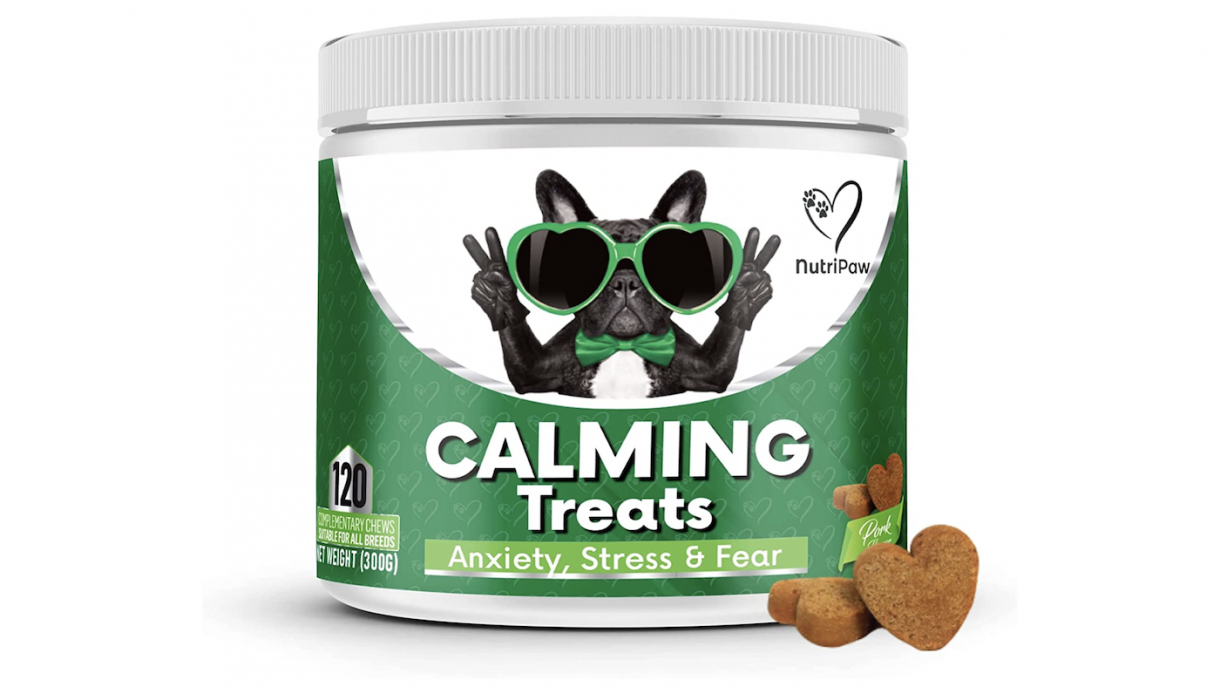 Best dog calming treats to reduce anxiety in stressful situations
