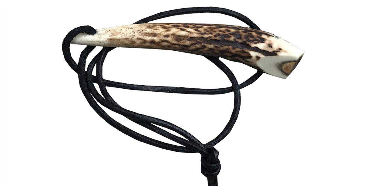 Best dog whistles train your dog to come back when called