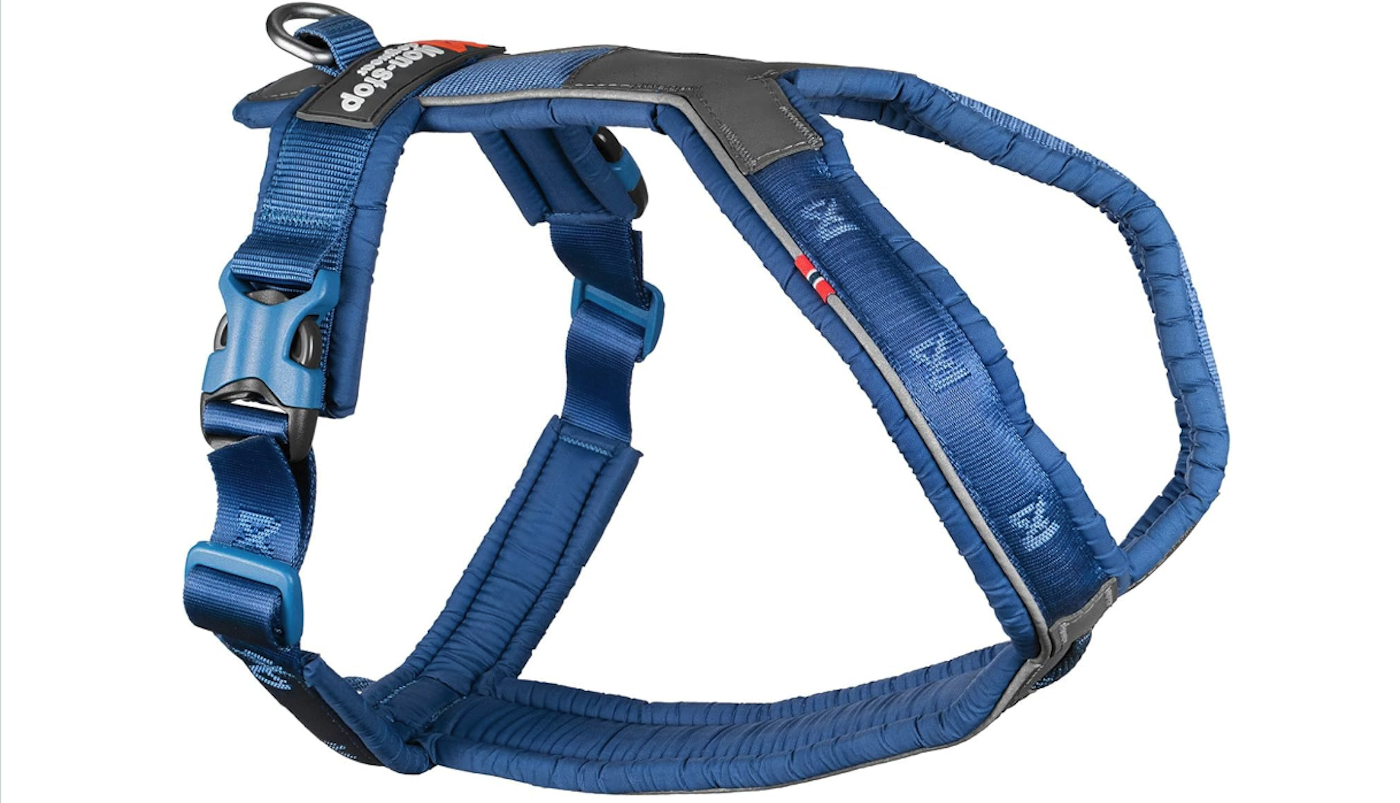 Non stop dog wear blue harness