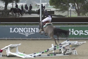 Showjumper Will Walker and Ustino manage to clear this 1.35m oxer as a rogue gust of wind blows the fence over