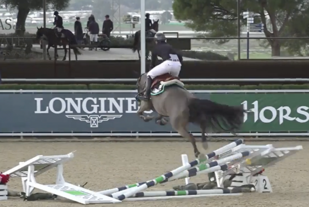 Showjumper Will Walker and Ustino manage to clear this 1.35m oxer as a rogue gust of wind blows the fence over