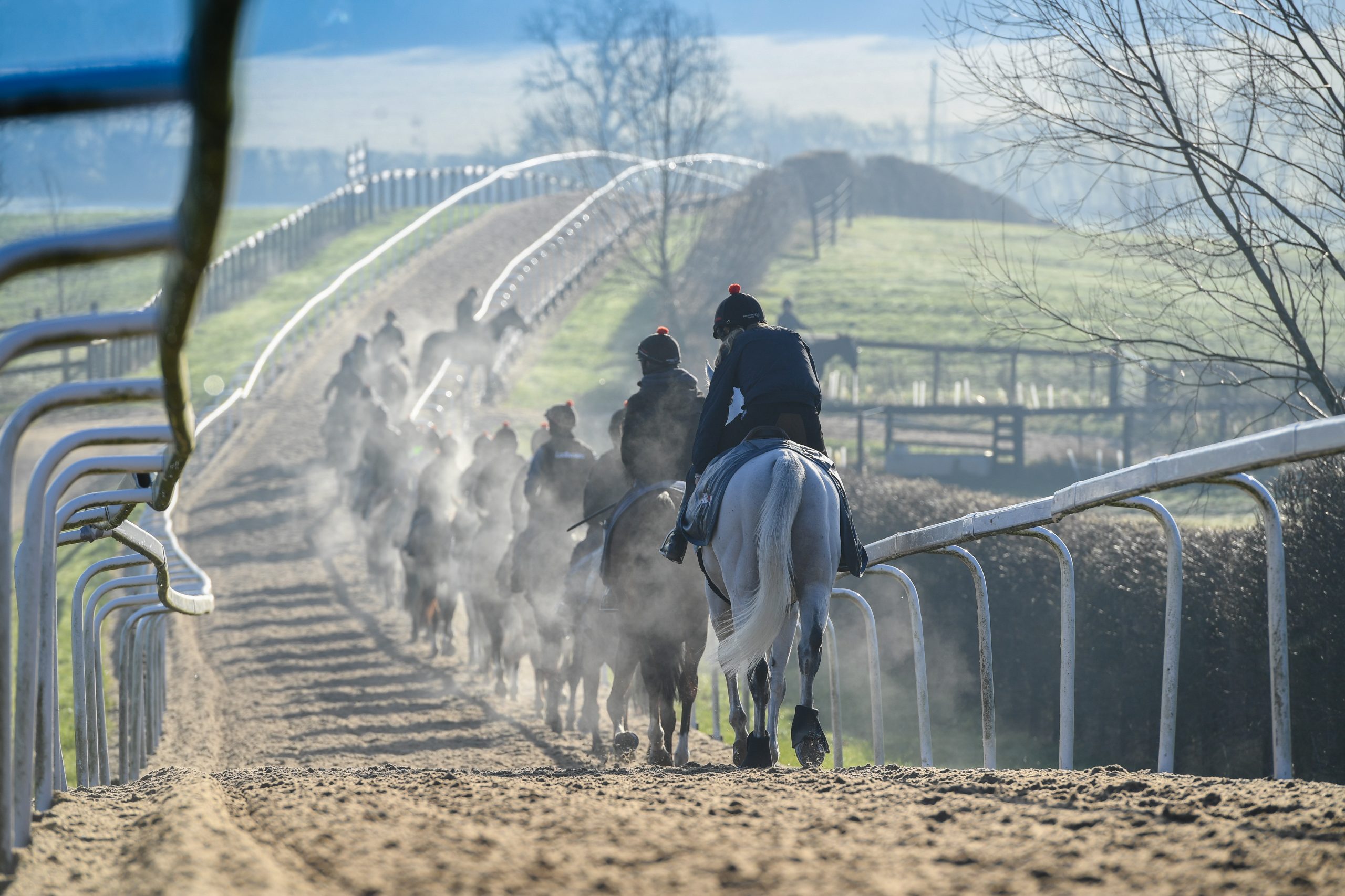 Cheltenham Festival Preview: behind the scenes with racehorse trainer Dan Skelton