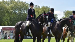 A showing line-up at Royal Windsor