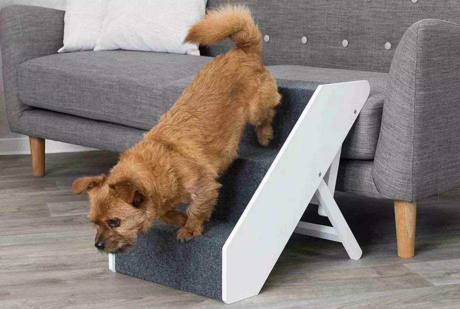 Best dog bed stairs help dogs climb up with security and ease